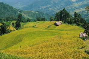 Tour Trọn Gói Hà Nội - Hà Giang (Khuổi Mi)