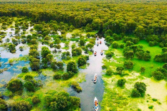 Vẻ đẹp bình dị của Rừng tràm Trà Sư mùa nước nổi