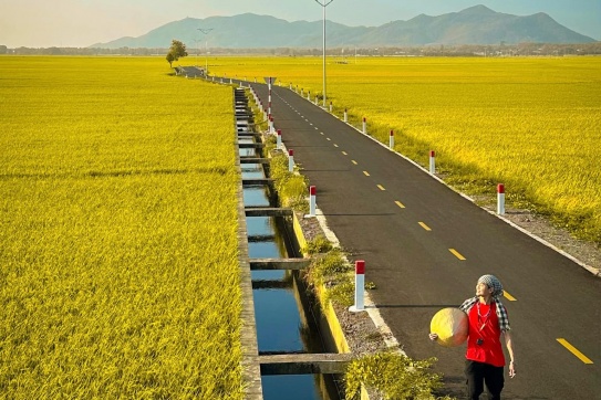 “Đất nước mình còn lạ cần chi đâu nước ngoài…”