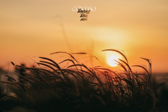 Côn Đảo - hoàng hôn rơi