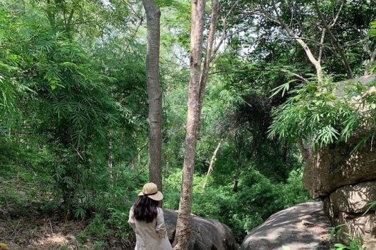 Có một Vũng Tàu khác lạ đến thế!