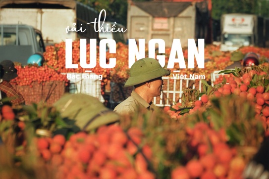 CHỢ VẢI LỤC NGẠN- BẮC GIANG