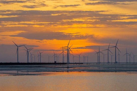 Check-in với cánh đồng điện gió Bạc Liêu đẹp tựa trời Tây