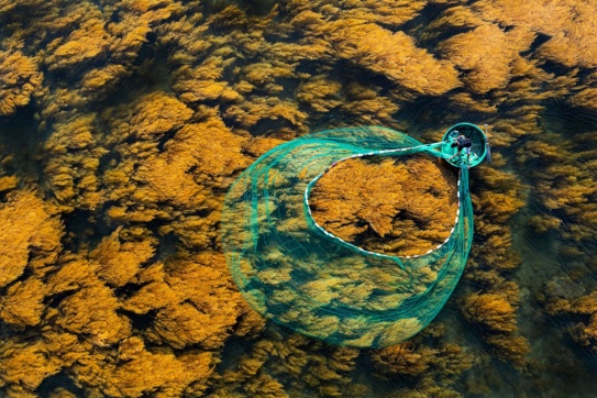 Cù lao Hòn Khô | Vẻ đẹp hoang sơ của đại dương