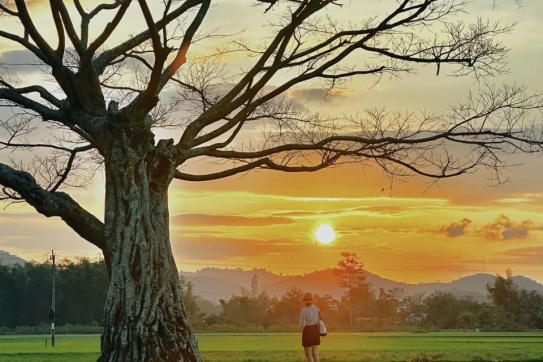 Một mình ở Buôn Ma Thuột một tháng