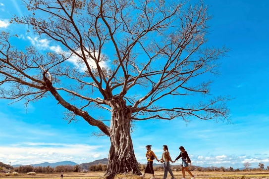 Đắk Lắk | Những ngày xanh