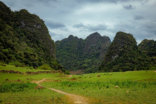 "Đất nước mình còn đẹp, cần chi đâu nước ngoài"