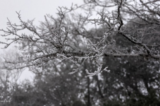 Mùa đông này check-in Đỉnh Phia Oắc (Cao Bằng) săn “băng giá”