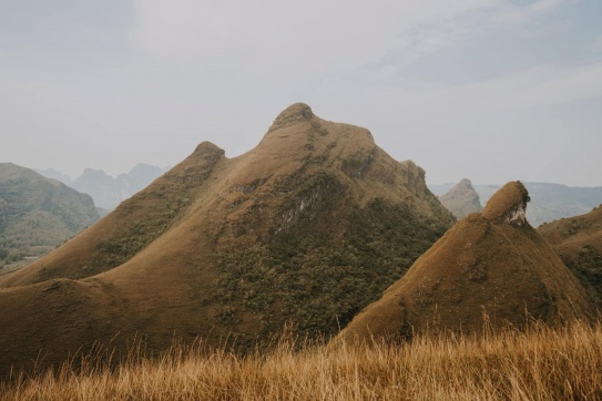 Đồi cỏ cháy rực chân trời ở Vinh Quý - Hạ Lang - Cao Bằng
