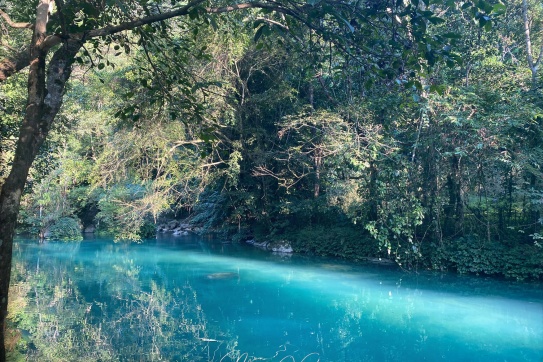 Khoe ảnh điện thoại chưa chỉnh màu của mọi người đi nào?