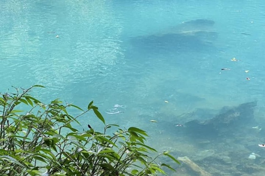 Suối Lê Nin - Nơi đầu nguồn thơ mộng giữa đại ngàn