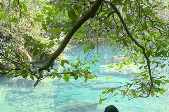 Một post dành riêng để khoe ảnh suối Lênin 