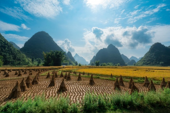 Trùng Khánh | Cao Bằng đã bước vào mùa đẹp nhất trong năm