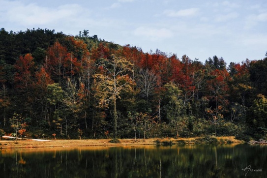 Vi vu Cao Bằng ...