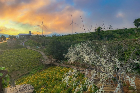 Đà Lạt sáng đầu tuần khá nóng, chỉ… 18 độ!