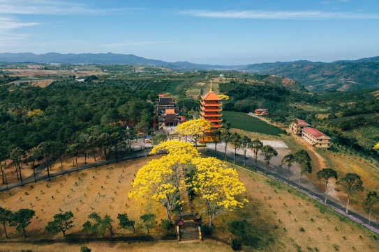 Xuân về ở Tu viện Bát Nhã - Bảo Lộc, Lâm Đồng 