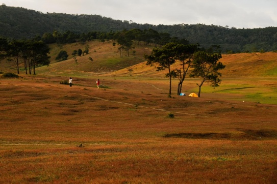 Bình nguyên Masara mùa cỏ hồng dài bất tận