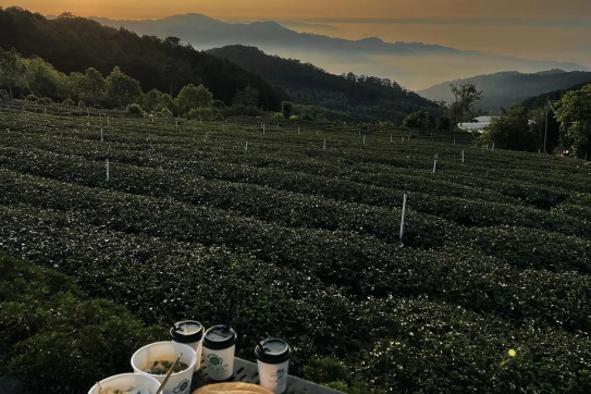 Đây không phải là Tà Xùa, đây là Đà Lạt.