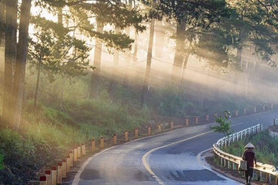 Khám phá những con đường đẹp nhất Đà Lạt