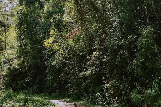 Bạn có biết cung đường đẹp nhất trong lòng những tín đồ Đà Lạt?