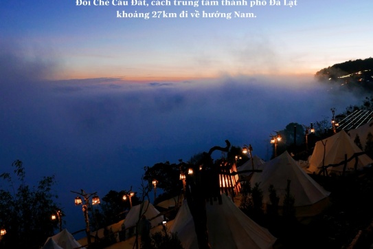 Những điểm check-in đẹp nhất mùa xuân Đà Lạt