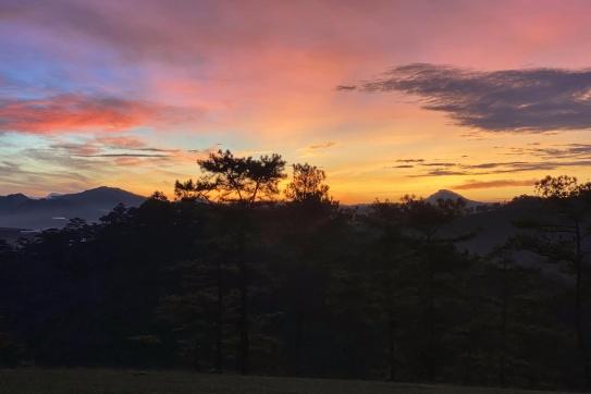 Một sớm bình yên trên đồi cỏ hồng Đà Lạt