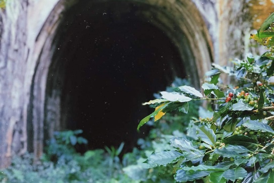 Đường hầm Hỏa Xa | “Vùng đất linh hồn” phiên bản Đà Lạt mộng mơ