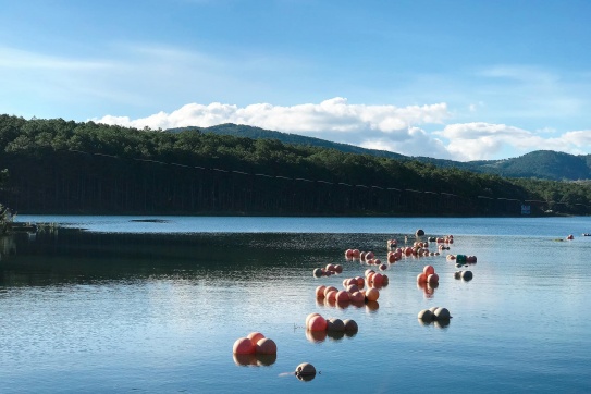 Happy Hill Điểm check-in cực kỳ chill tại Hồ Tuyền Lâm