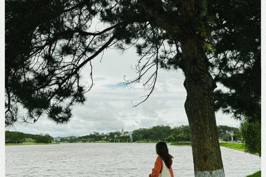 Đà Lạt hết mùa mưa, cũng là lúc bước vào mùa đẹp nhất