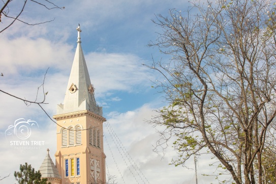 Hoa ban trắng trên đường Trần Phú - Đà Lạt 