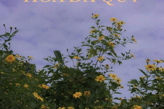 Mùa hoa dã quỳ | Có một Ba Vì thật tình!