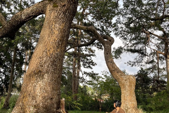 Đà Lạt đi mãi mà không chán