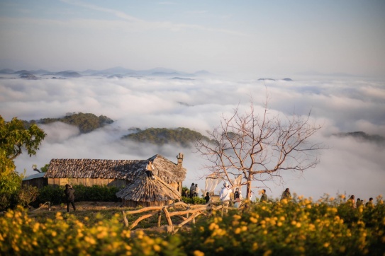 Biển mây Đà Lạt đẹp không kém gì Tây Bắc đâu nha!