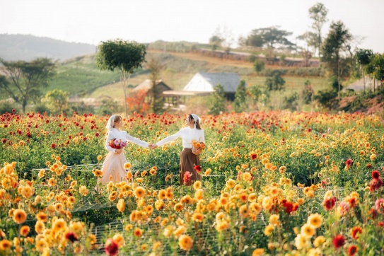Có một miền quê mang tên hoa trong rừng xinh đẹp như thế ở Đà Lạt.