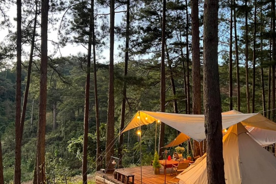 Đi Đà Lạt mùa đẹp nhất trong năm