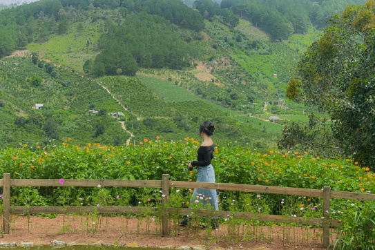 | Đà Lạt | Hương mùa hạ