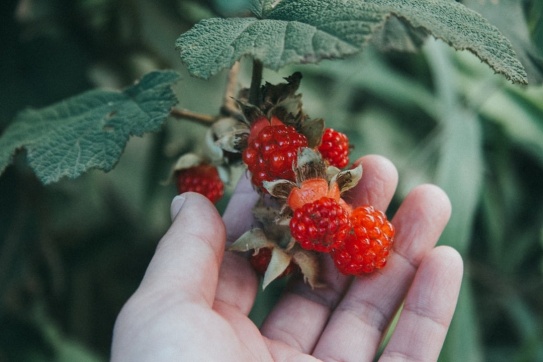 Đà Lạt | Phong vị mùa thu
