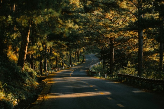 Mùa thu Đà Lạt, trong ánh mắt của kẻ si tình.