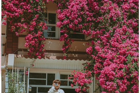 Ngôi nhà hoa giấy!