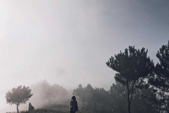 Nhìn rất Đà Lạt nhưng lại là Tây Bắc