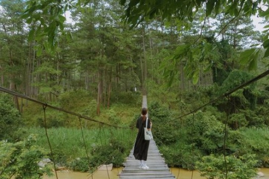 Review Một Tháng Ở Đà Lạt Như Người Bản Xứ