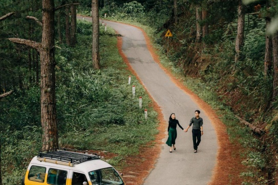 Đà Lạt | Con đường xuyên qua rừng thông tuyệt đẹp