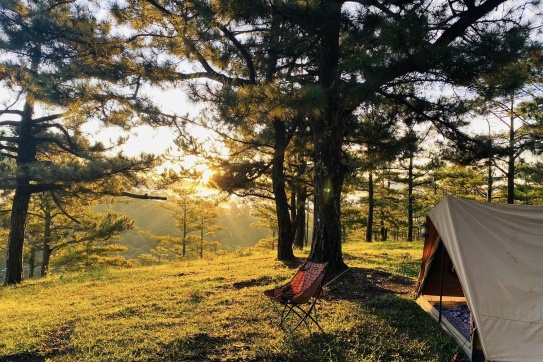 Sớm mai Đà Lạt 