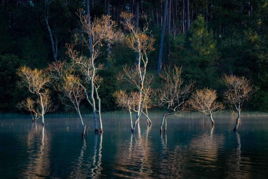 Suối Tía | Dòng nước khởi nguồn cho Hồ Tuyền Lâm