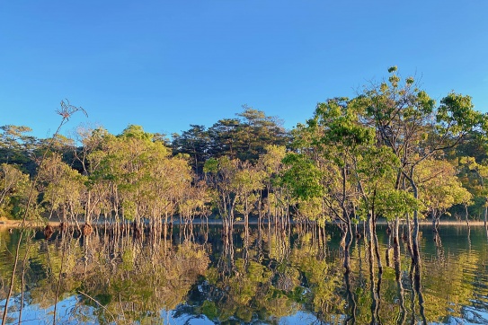 Suối Tía, nơi khởi nguồn của hồ Tuyền Lâm, đẹp như tiên cảnh. 
