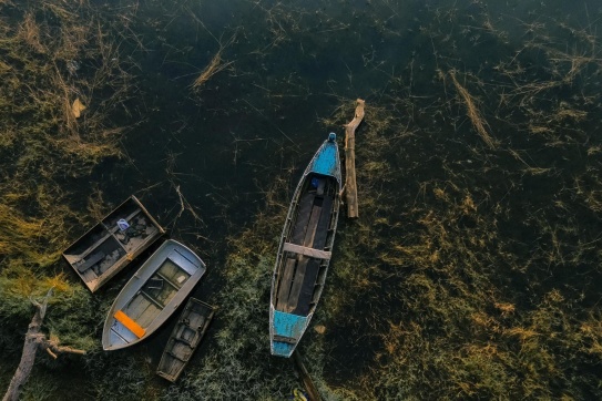 Lạc lối ở Suối Tía (Đà Lạt)