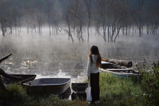 Suối Tía - Đà Lạt