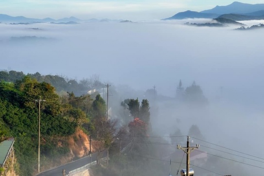 Đà Lạt những ngày đầu tháng 01