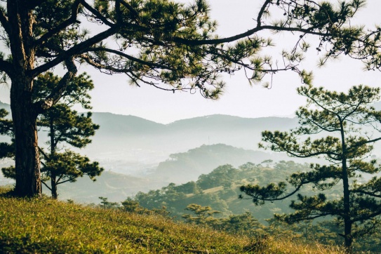 “Thành phố sương” một sớm mùa thu