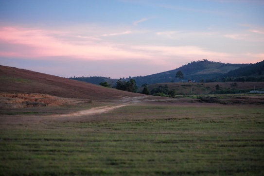 Thảo Nguyên Masara